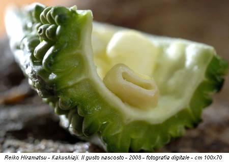 Reiko Hiramatsu - Kakushiaji. Il gusto nascosto - 2008 - fotografia digitale - cm 100x70