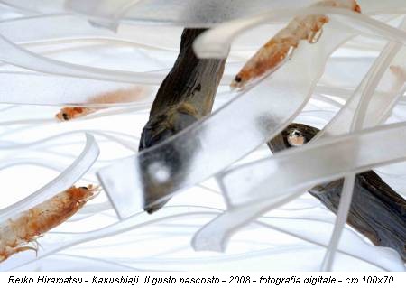 Reiko Hiramatsu - Kakushiaji. Il gusto nascosto - 2008 - fotografia digitale - cm 100x70