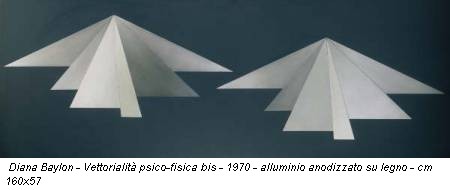 Diana Baylon - Vettorialità psico-fisica bis - 1970 - alluminio anodizzato su legno - cm 160x57