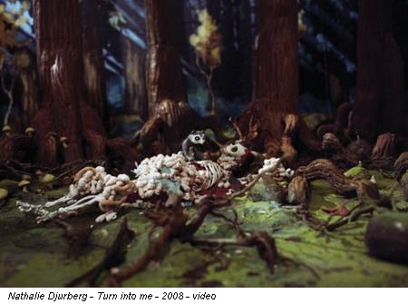Nathalie Djurberg - Turn into me - 2008 - video