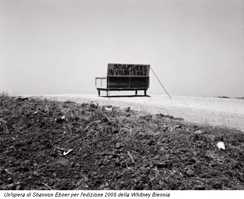 Un'opera di Shannon Ebner per l'edizione 2008 della Whitney Biennia