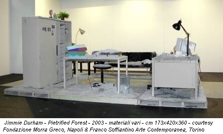 Jimmie Durham - Pietrified Forest - 2003 - materiali vari - cm 173x420x360 - courtesy Fondazione Morra Greco, Napoli & Franco Soffiantino Arte Contemporanea, Torino