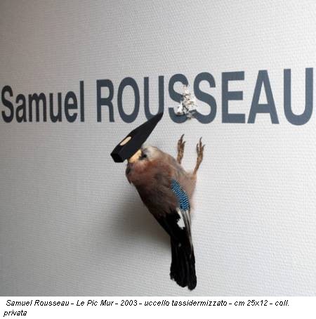 Samuel Rousseau - Le Pic Mur - 2003 - uccello tassidermizzato - cm 25x12 - coll. privata