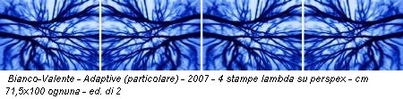Bianco-Valente - Adaptive (particolare) - 2007 - 4 stampe lambda su perspex - cm 71,5x100 ognuna - ed. di 2