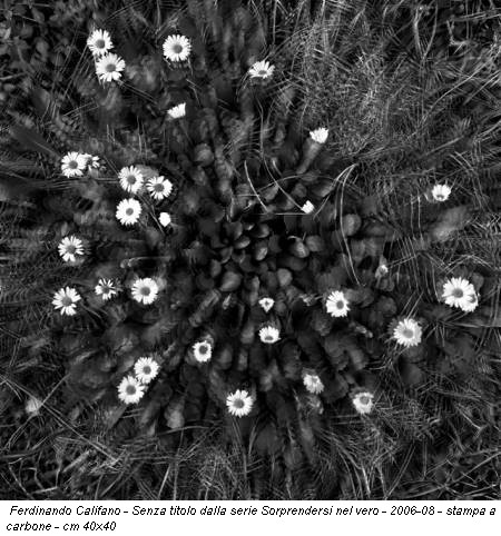 Ferdinando Califano - Senza titolo dalla serie Sorprendersi nel vero - 2006-08 - stampa a carbone - cm 40x40