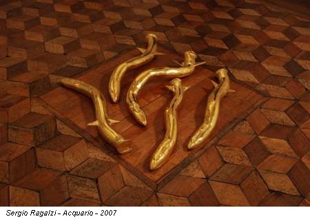 Sergio Ragalzi - Acquario - 2007