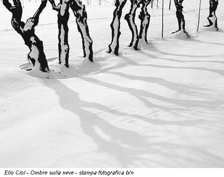 Elio Ciol - Ombre sulla neve - stampa fotografica b/n