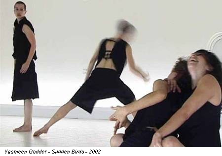 Yasmeen Godder - Sudden Birds - 2002