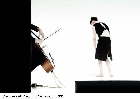 Yasmeen Godder - Sudden Birds - 2002