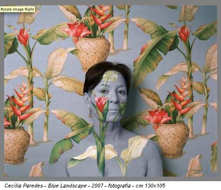 Cecilia Paredes - Blue Landscape - 2007 - fotografia - cm 130x105