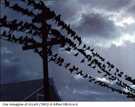 Una immagine di Uccelli (1963) di Alfred Hitchcock