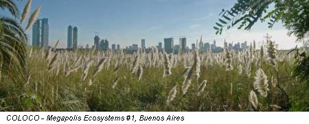 COLOCO - Megapolis Ecosystems #1, Buenos Aires