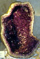 Dal 11.III al 15.IV.2000 | La Natura del colore, il colore della natura | Firenze, Cripta di San Lorenzo