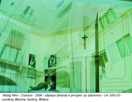 Wang Wei - Osmosi - 2006 - stampa lambda e perspex su alluminio - cm 100x70 - courtesy Marella Gallery, Milano