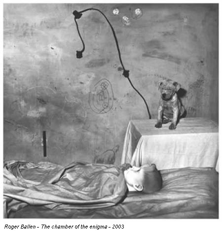 Roger Ballen - The chamber of the enigma - 2003