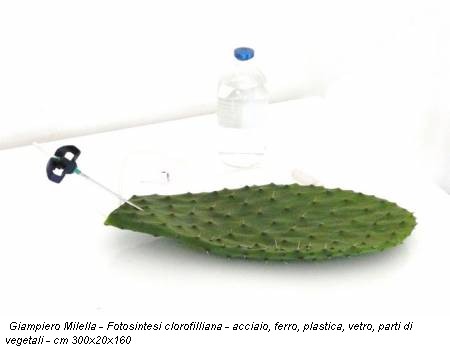 Giampiero Milella - Fotosintesi clorofilliana - acciaio, ferro, plastica, vetro, parti di vegetali - cm 300x20x160