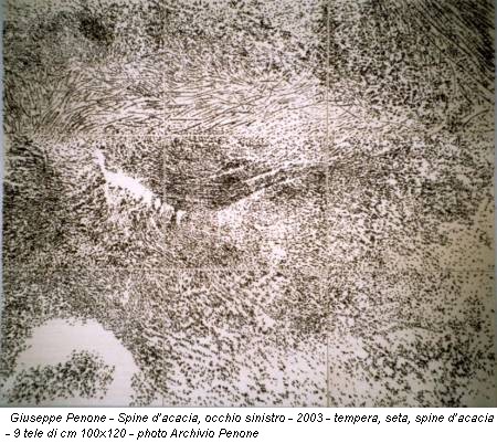 Giuseppe Penone - Spine d’acacia, occhio sinistro - 2003 - tempera, seta, spine d’acacia - 9 tele di cm 100x120 - photo Archivio Penone