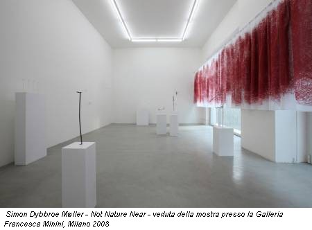 Simon Dybbroe Møller - Not Nature Near - veduta della mostra presso la Galleria Francesca Minini, Milano 2008