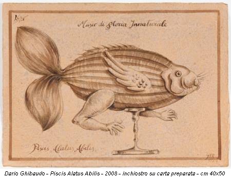 Dario Ghibaudo - Piscis Alatus Abilis - 2008 - inchiostro su carta preparata - cm 40x50