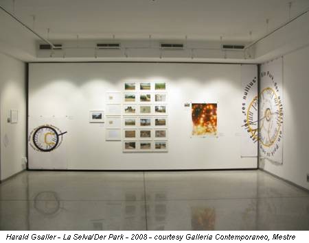 Harald Gsaller - La Selva/Der Park - 2008 - courtesy Galleria Contemporaneo, Mestre