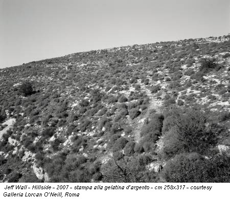 Jeff Wall - Hillside - 2007 - stampa alla gelatina d’argento - cm 258x317 - courtesy Galleria Lorcan O’Neill, Roma