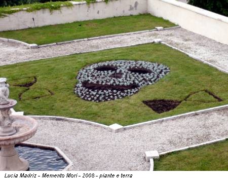 Lucia Madriz - Memento Mori - 2008 - piante e terra