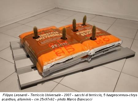 Filippo Leonardi - Terriccio Universale - 2007 - sacchi di terriccio, 5 haageocereus-chrys acanthus, alluminio - cm 25x97x62 - photo Marco Biancucci