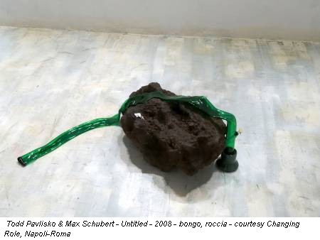 Todd Pavlisko & Max Schubert - Untitled - 2008 - bongo, roccia - courtesy Changing Role, Napoli-Roma