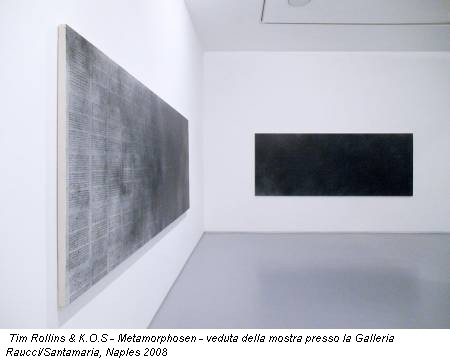 Tim Rollins & K.O.S - Metamorphosen - veduta della mostra presso la Galleria Raucci/Santamaria, Naples 2008