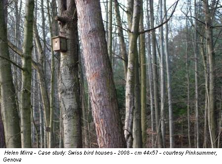 Helen Mirra - Case study: Swiss bird houses - 2008 - cm 44x57 - courtesy Pinksummer, Genova