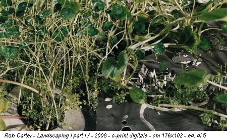 Rob Carter - Landscaping I part IV - 2008 - c-print digitale - cm 176x102 - ed. di 5