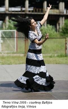 Terno Vilna 2008 - courtesy Baltijos fotografijos linija, Vilnius