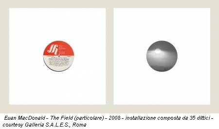 Euan MacDonald - The Field (particolare) - 2008 - installazione composta da 35 dittici - courtesy Galleria S.A.L.E.S., Roma
