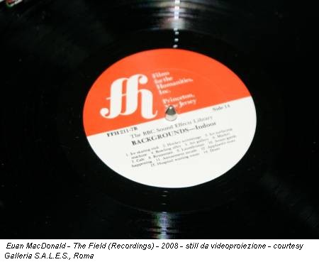 Euan MacDonald - The Field (Recordings) - 2008 - still da videoproiezione - courtesy Galleria S.A.L.E.S., Roma