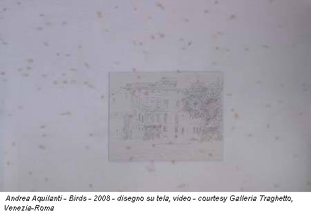 Andrea Aquilanti - Birds - 2008 - disegno su tela, video - courtesy Galleria Traghetto, Venezia-Roma