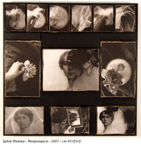 Sylvie Romieu - Renaissance - 2007 - cm 91x91x8