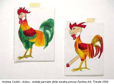 Andrea Contin - Adius - veduta parziale della mostra presso Factory Art, Trieste 2008