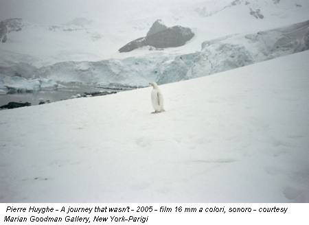 Pierre Huyghe - A journey that wasn't - 2005 - film 16 mm a colori, sonoro - courtesy Marian Goodman Gallery, New York-Parigi