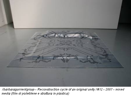 /barbaragurrieri/group - Reconstruction cycle of an original unity I #12 - 2007 - mixed media (film di polietilene e struttura in plastica)