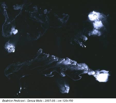 Beatrice Pediconi - Senza titolo - 2007-08 - cm 120x150