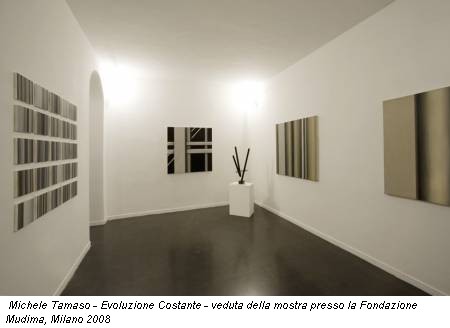 Michele Tamaso - Evoluzione Costante - veduta della mostra presso la Fondazione Mudima, Milano 2008