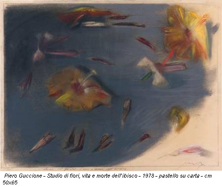 Piero Guccione - Studio di fiori, vita e morte dell’ibisco - 1978 - pastello su carta - cm 50x65