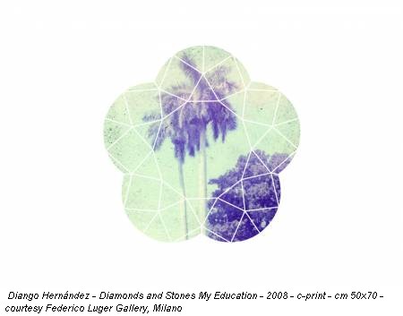 Diango Hernández - Diamonds and Stones My Education - 2008 - c-print - cm 50x70 - courtesy Federico Luger Gallery, Milano