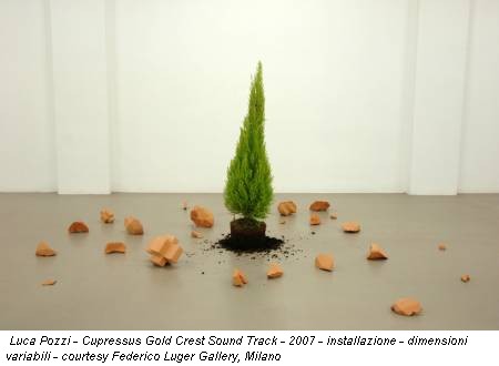 Luca Pozzi - Cupressus Gold Crest Sound Track - 2007 - installazione - dimensioni variabili - courtesy Federico Luger Gallery, Milano