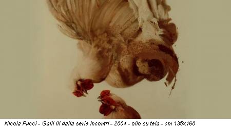 Nicola Pucci - Galli III dalla serie Incontri - 2004 - olio su tela - cm 135x160
