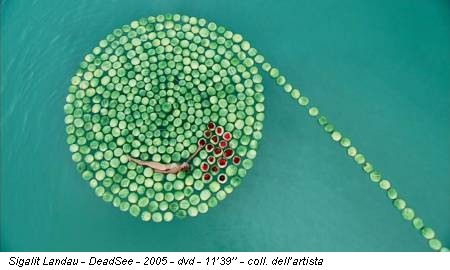 Sigalit Landau - DeadSee - 2005 - dvd - 11’39’’ - coll. dell’artista