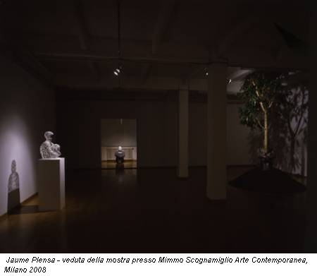 Jaume Plensa - veduta della mostra presso Mimmo Scognamiglio Arte Contemporanea, Milano 2008