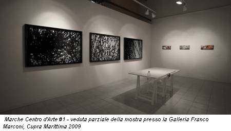 Marche Centro d'Arte #1 - veduta parziale della mostra presso la Galleria Franco Marconi, Cupra Marittima 2009