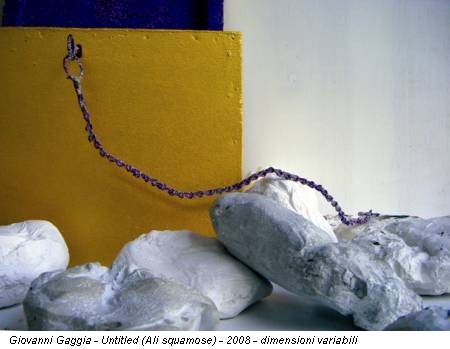 Giovanni Gaggia - Untitled (Ali squamose) - 2008 - dimensioni variabili