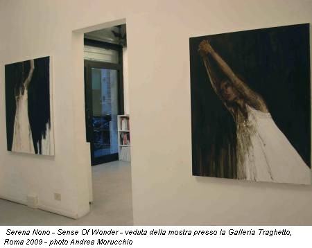 Serena Nono - Sense Of Wonder - veduta della mostra presso la Galleria Traghetto, Roma 2009 - photo Andrea Morucchio